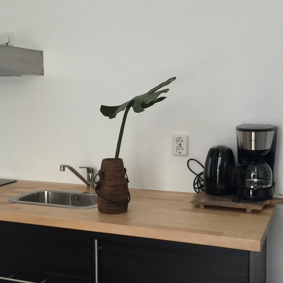 Appartementen Zeespiegel 잔드보르트 외부 사진